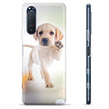 Sony Xperia 5 II TPU Case - Dog