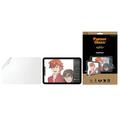 iPad Mini (2021) PanzerGlass GraphicPaper Screen Protector